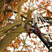 Load image into Gallery viewer, Kent &amp; Stowe Telescopic Tree Lopper Bypass Pruner Cutter 4 Gears 3m