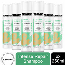 Load image into Gallery viewer, 6 Pack of 250ml Toni &amp; Guy Fibre Strengthening Shampoo for All Types of Hair