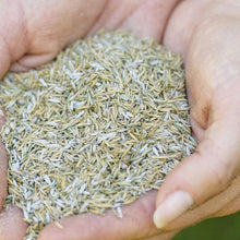 Load image into Gallery viewer, Gro-Sure Smart Seed Aqua Gel Coated covers 80m2, 3.2Kg Bag
