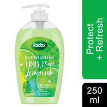 Load image into Gallery viewer, 3pk of 250ml Radox Anti-Bac or Feel Ready Hand wash