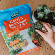 Load image into Gallery viewer, Westland Cacti &amp; Succulent Potting Mix Blen Enriched with Seramis 4L 1.5kg