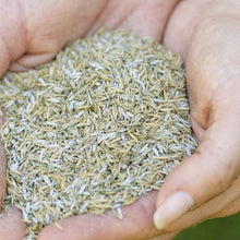Load image into Gallery viewer, Gro-Sure Smart Seed Aqua Gel Coated covers 250m2, 10Kg Big Bag