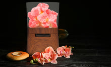 Load image into Gallery viewer, Himalayan Salt Bluetooth Speaker