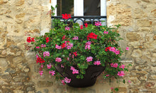 Load image into Gallery viewer, Easy Bloom Hanging Wall Basket Black