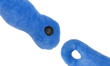 Load image into Gallery viewer, Glamour Connections Vibrating Neck Massager