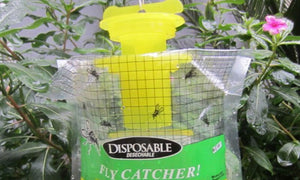 Haven Non-Toxic Disposable Fly Trap
