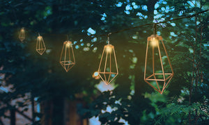 Haven Solar String Lights