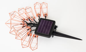 Haven Solar String Lights