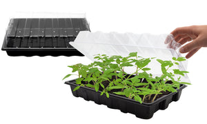Large Size Propagator With Lid