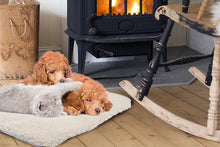 Load image into Gallery viewer, PMS Magic Pet Thermal Heating Bed