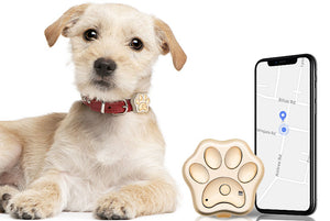 Smart Anti-Lost GPS Pet Tracker