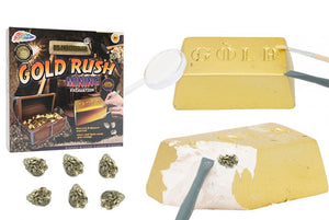 Dig For Gold Excavation Kit