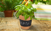 Load image into Gallery viewer, Set Of 3 Terracotta Chalkboard Herb Planters