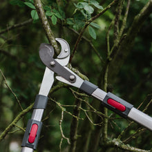 Load image into Gallery viewer, Kent &amp; Stowe Tele Geared Telescopic Anvil Lopper Pruner 5 Positions 63cm-83cm