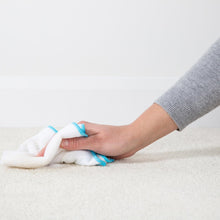 Load image into Gallery viewer, 1001 Pet Stain Remover 500ml Spray x6, Tough on Pet Stains, Gentle on Carpets