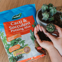 Load image into Gallery viewer, Westland Cacti &amp; Succulent Potting Mix Blen Enriched with Seramis 4L 1.5kg