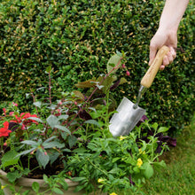 Load image into Gallery viewer, Kent &amp; Stowe Stainless Steel Hand Trowel Rust Resistant FSC For Gardening