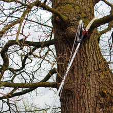 Load image into Gallery viewer, Kent &amp; Stowe Telescopic Tree Lopper Bypass Pruner Cutter 4 Gears 3m