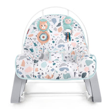Load image into Gallery viewer, Fisher-Price Infant-to-Toddler Rocker, Multi-Coloured