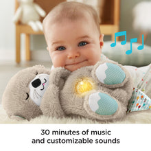 Load image into Gallery viewer, Fisher-Price Soothe &amp; Snuggle Otter