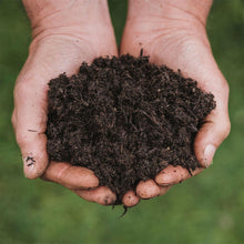 Load image into Gallery viewer, Westland New Horizon All Plant Compost Peat Free Organic with BIO3 10L 4kg