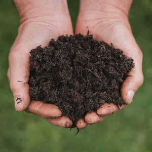 Westland New Horizon All Plant Compost Peat Free Organic with BIO3 10L 4kg