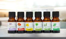 Load image into Gallery viewer, Six-Piece Essential Oil Sets