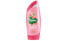 Load image into Gallery viewer, Pack of 6 Radox Men&#39;s Shower Gel 250ml