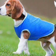 Load image into Gallery viewer, PMS Crufts Extra Small Pet Cooling Vest