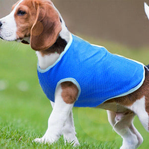 PMS Crufts Extra Small Pet Cooling Vest