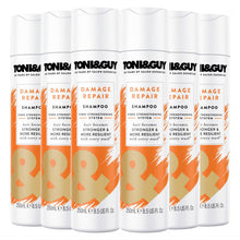 Load image into Gallery viewer, 6 Pack of 250ml Toni &amp; Guy Damage Repair Shampoo for Damaged Hair