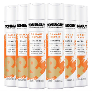6 Pack of 250ml Toni & Guy Damage Repair Shampoo for Damaged Hair