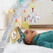 Load image into Gallery viewer, Fisher-Price Perfect Sense Deluxe Gym