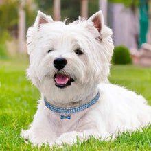 Load image into Gallery viewer, AQ Luxury Diamond Collar For Pets, Size Medium or Large, Blue, Red or White