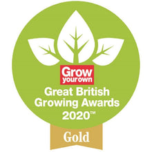 Load image into Gallery viewer, Spear &amp; Jackson Digging Spade, Carbon Steel, Elements Garden Tool