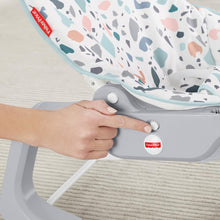 Load image into Gallery viewer, Fisher-Price Infant-to-Toddler Rocker, Multi-Coloured