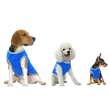 Load image into Gallery viewer, PMS Crufts Extra Small Pet Cooling Vest