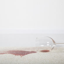 Load image into Gallery viewer, 1001 Carpet Stain Remover 500ml Spray x6, Tough on Stains, Gentle on Carpets