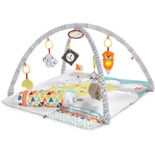 Load image into Gallery viewer, Fisher-Price Perfect Sense Deluxe Gym