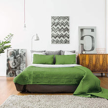 Load image into Gallery viewer, DYLON Hand Fabric Dye Sachet, Tropical Green,  2 Packs of 50g