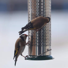 Load image into Gallery viewer, Peckish Bird Feeder All Weather Large Nyjer Quick release Base 30cm