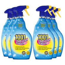Load image into Gallery viewer, 1001 Carpet Stain Remover 500ml Spray x6, Tough on Stains, Gentle on Carpets