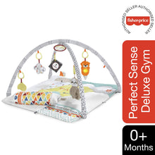 Load image into Gallery viewer, Fisher-Price Perfect Sense Deluxe Gym