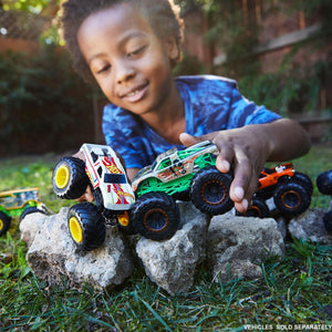 Hot Wheels Monster Trucks Demo 2-Pk Assorted & Epic Loop Challenge Play Set