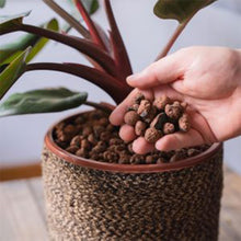 Load image into Gallery viewer, Westland Hydroleca Houseplant Orchid Clay Granules Pebbles Decorative Topper 10L