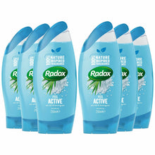 Load image into Gallery viewer, Radox Feel Active Shower Gel, Sea Salt and Lemongrass, 6 Pack, 250ml