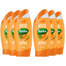 Load image into Gallery viewer, Radox Feel 2-in-1 Shower Gel, 6 Pack, 250ml