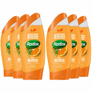 Radox Feel 2-in-1 Shower Gel, 6 Pack, 250ml