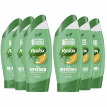 Load image into Gallery viewer, Radox Feel 2-in-1 Shower Gel, 6 Pack, 250ml